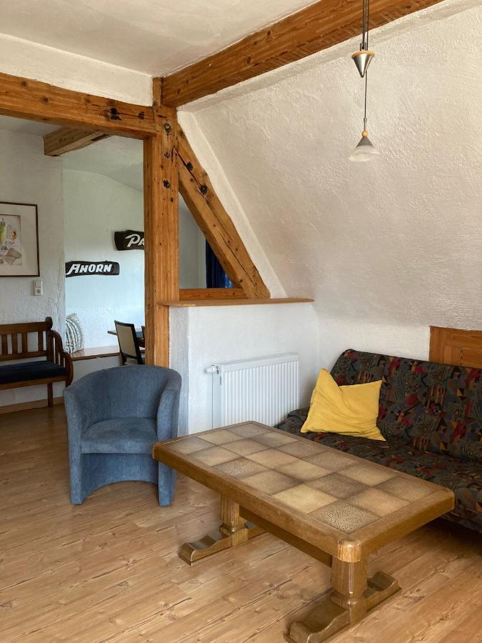 Dorfschule Mollseifen Apartment Winterberg Luaran gambar